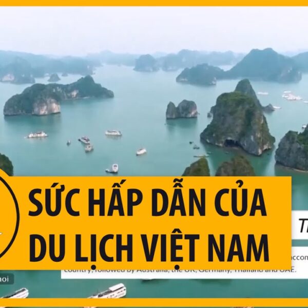NV3F1000004 - video du lịch 01