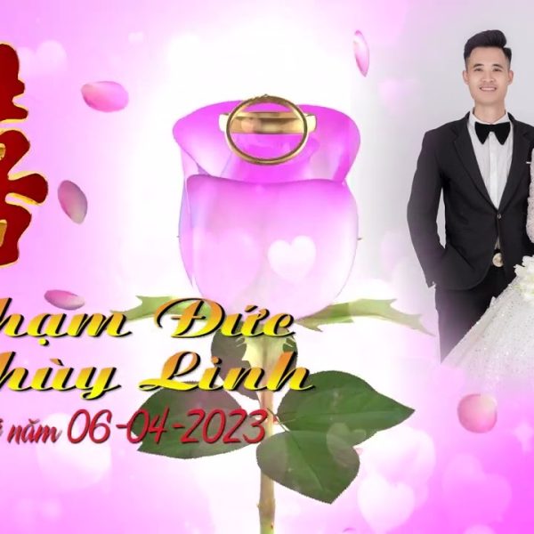 NV3F1000023- Video đám cưới fresh color wedding invitation